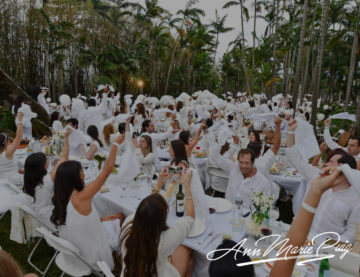 Ann Marie Puig participates as Table Leader at prestigious Le Diner en Blanc event